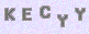 manual verify